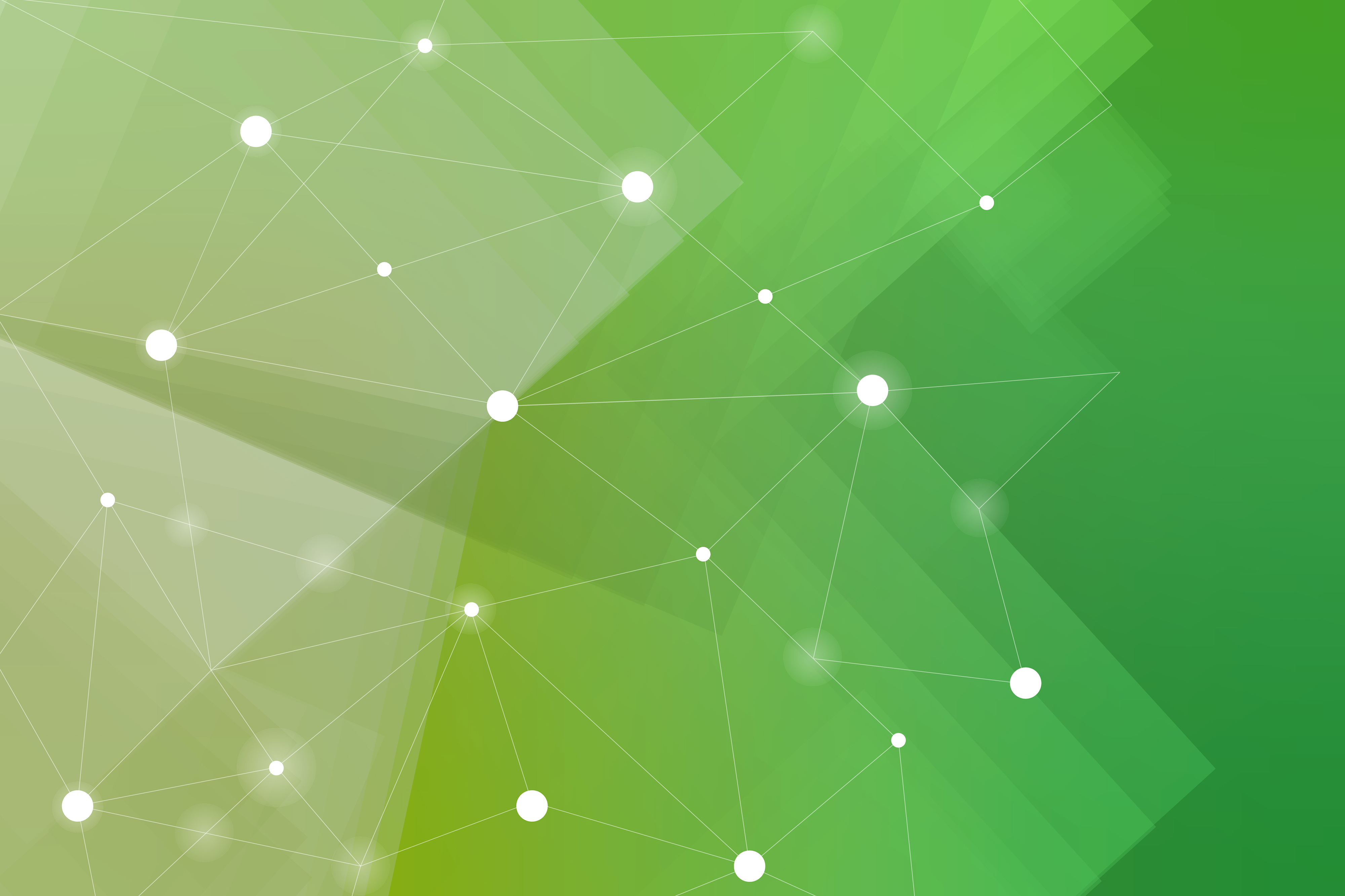 White network pattern on a green background vector
